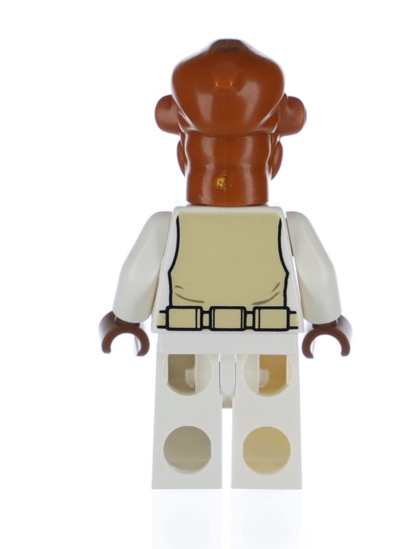 Admiral Ackbar