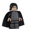 Professor Severus Snape