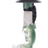 Master Yang - Image 5