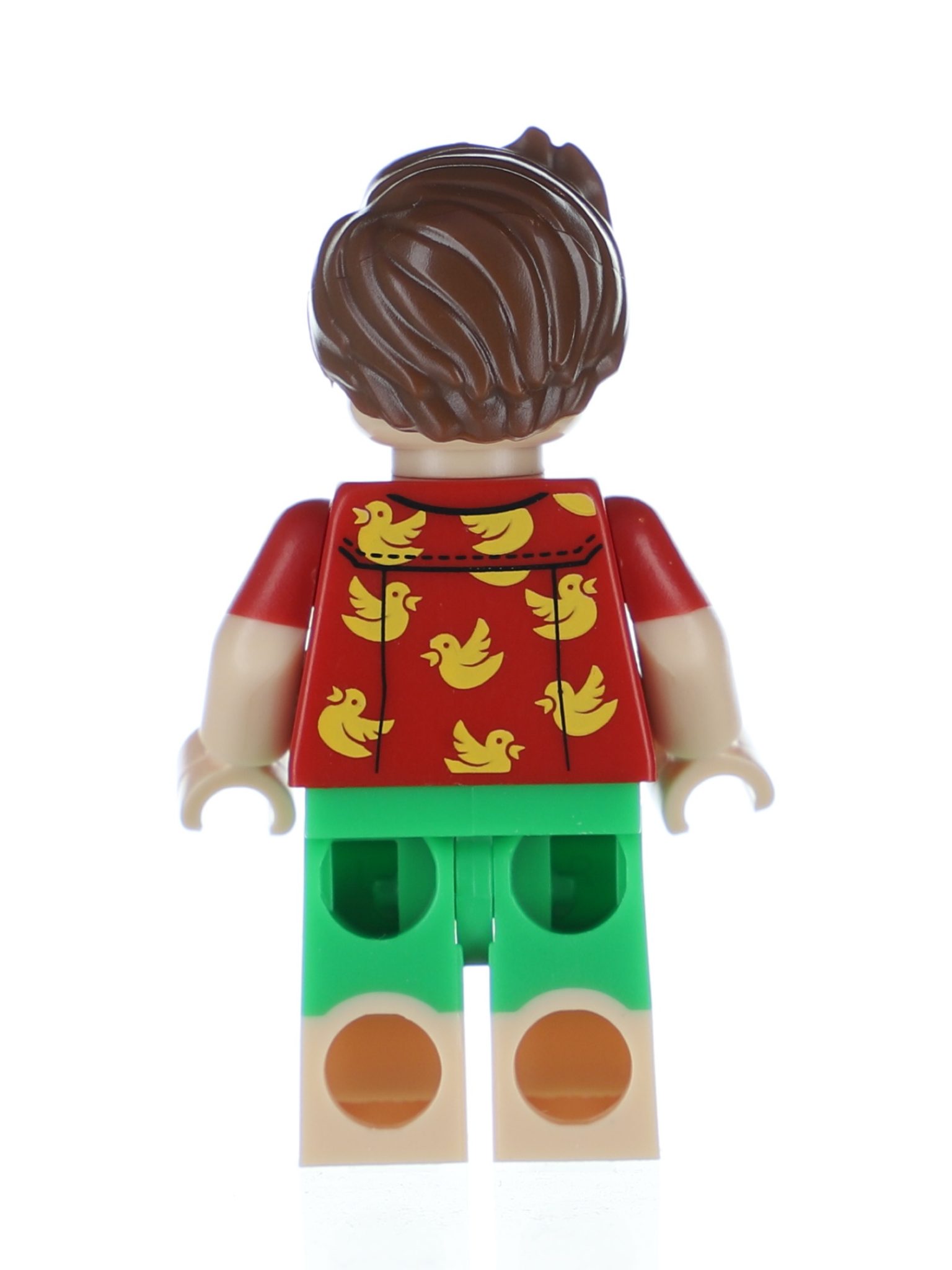 lego vacation robin