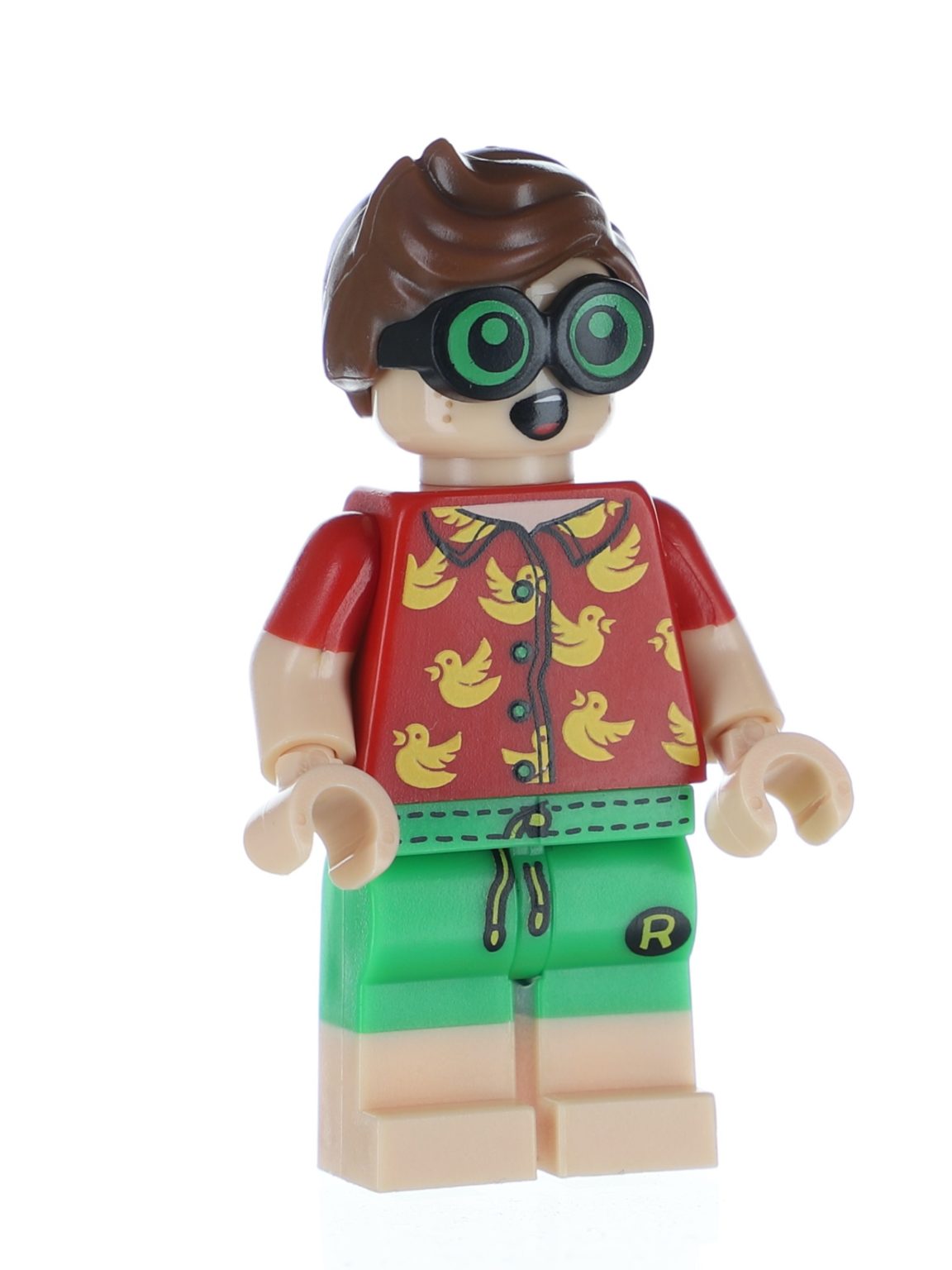 lego vacation robin