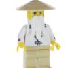 Master / Sensei Wu